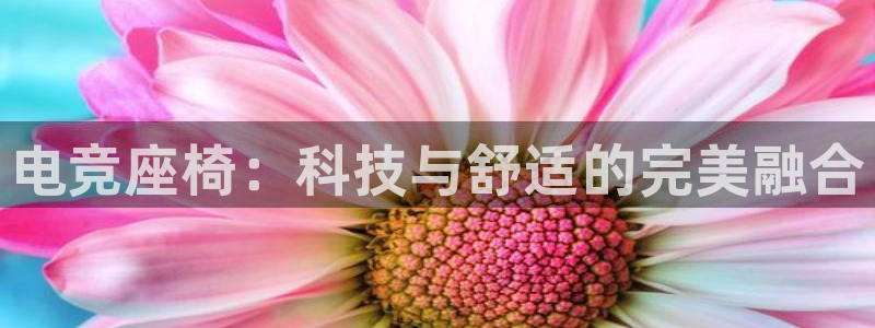 威客电竞网页版入口