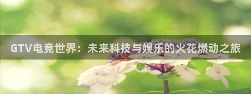 威客电竞客服