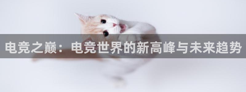 威客电竞VKGAME