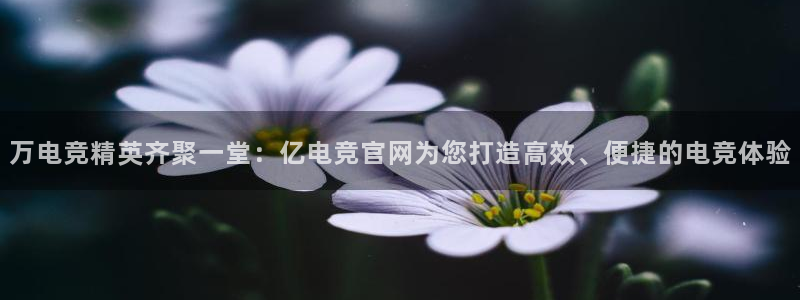 vkgame威客电竞