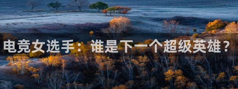 威客电竞 optic