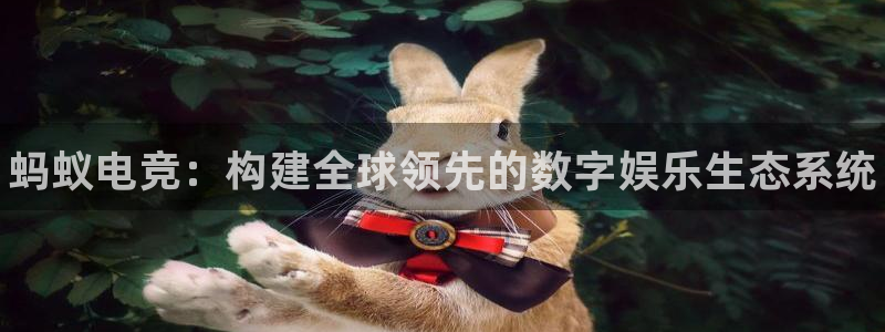 vkgame威客电竞官网