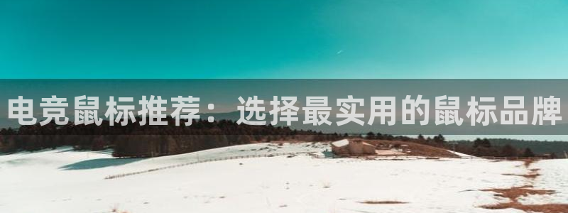 威客电竞vkgame官网