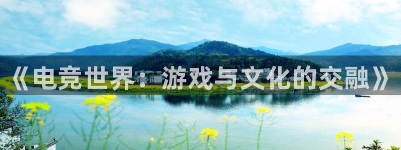 威客电竞官网登录入口