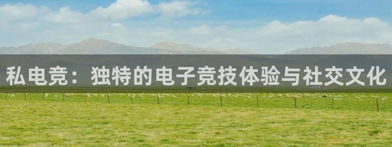 威客电竞·(中国)VKGAMING