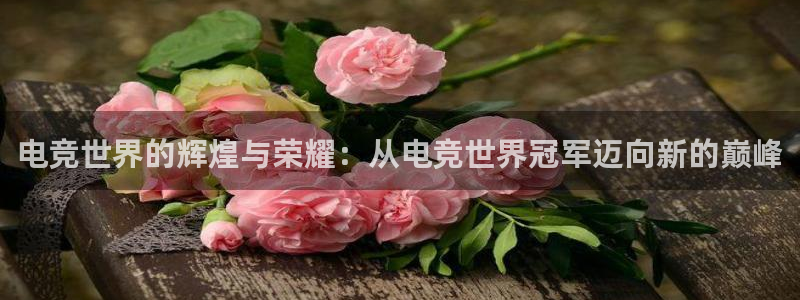 vkgame威客电竞