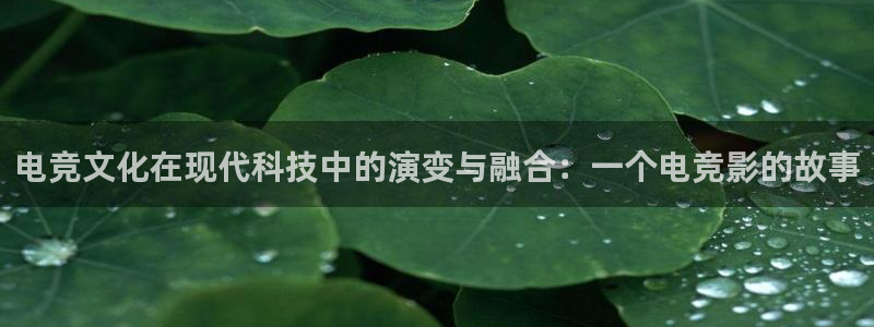 vkgame威客电竞