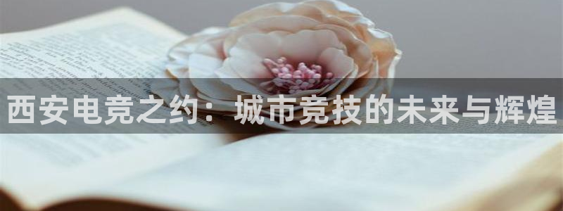 威客电竞vkgame官网