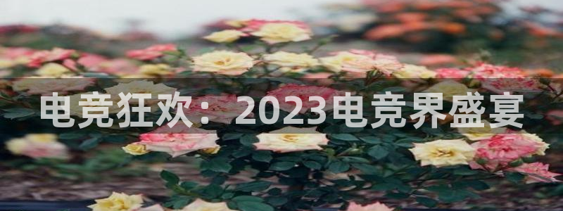威客电竞官网登录入口