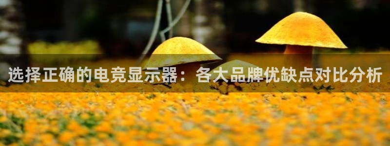 威客电竞客