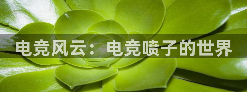 威客电竞网页版入口