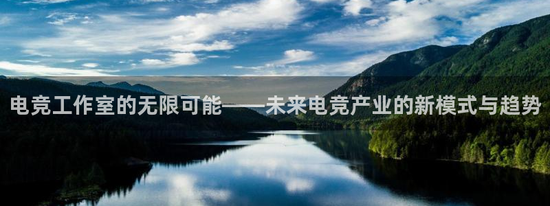 威客电竞集团