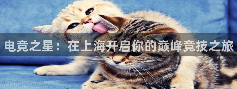 vk威客电竞