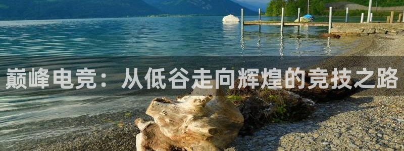 威客电竞官网登录入口
