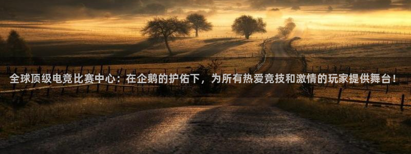 威客电竞vkgame官网