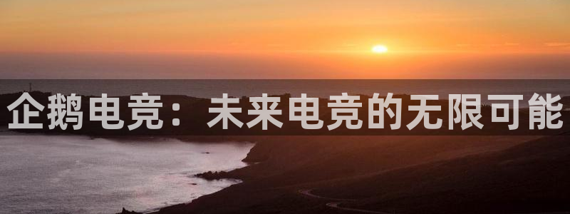 威客电竞官网下载
